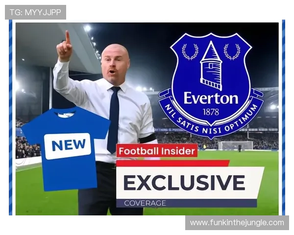 埃弗顿可能引进的14名自由球员分析 埃弗顿可能引进的14名自由球员分析