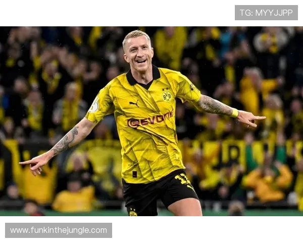 多特蒙德客场迎来严峻考验 多特蒙德客场迎来严峻考验